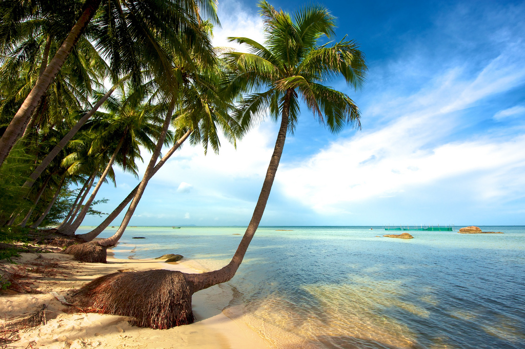 THE SOUTHERN RHYTHM & SUN-KISSED COASTLINE: AN 8-DAY IMMERSIVE EXPEDITION from only 485 USD/person only
